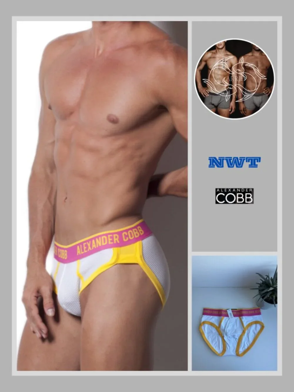 Alexander Cobb - Slip Brief - White (S)